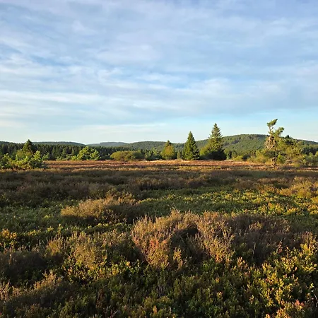 Fichtenzauber - Balkon, Nahe Bikepark & Skipiste ווינטרברג
