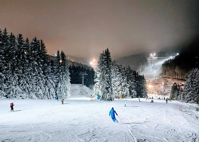 Apartamento Fichtenzauber - Balkon, Nahe Bikepark & Skipiste *