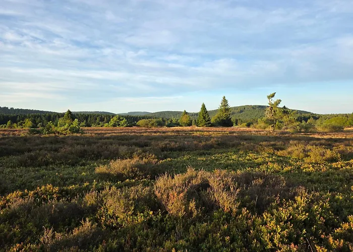 Fichtenzauber - Balkon, Nahe Bikepark & Skipiste Winterberg